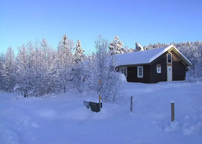 Gala Fjellhytte - With Sauna And Whirlpool Tub